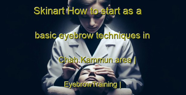 Skinart How to start as a basic eyebrow techniques in Chah Kammun area | EyebrowTraining | EyebrowClasses | SkinartTraining-Pakistan